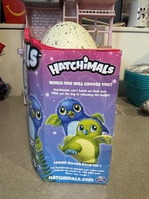 Brand New Spin Master Hatchimals