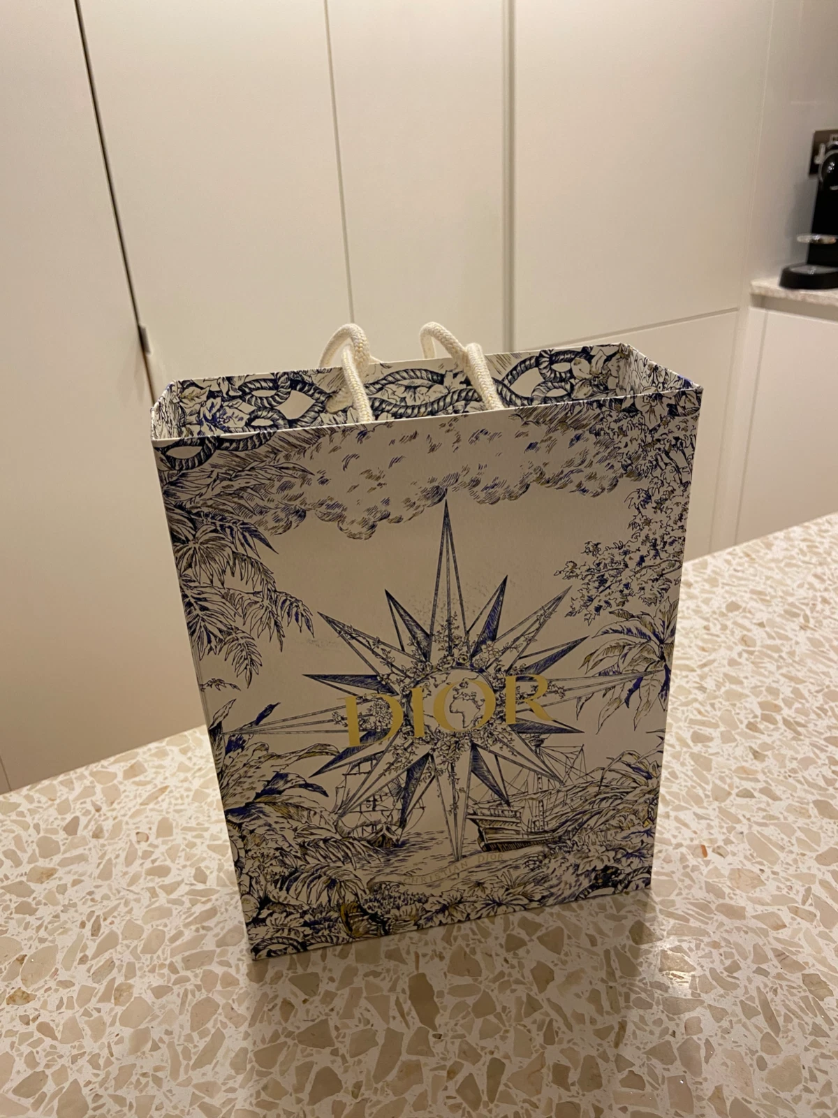 Sac de transport Dior moyen original