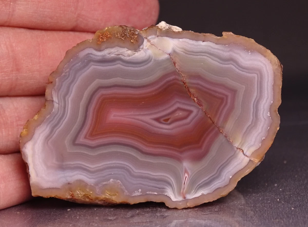 Laguna Agate for sale | eBay