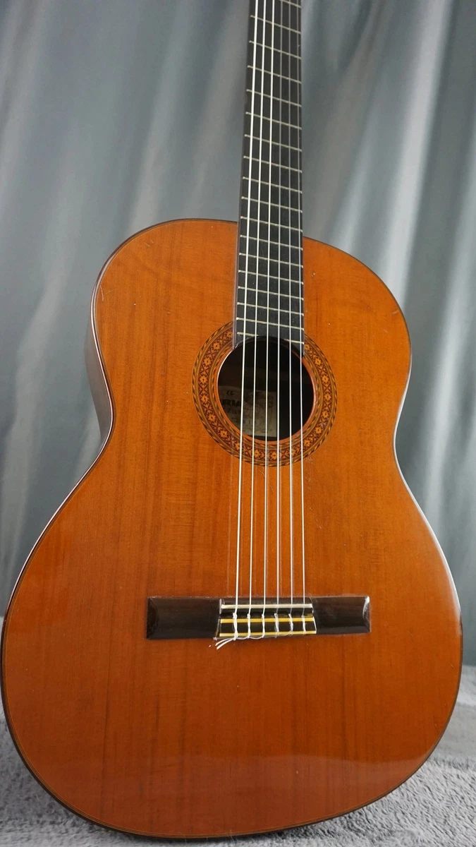 25+ Aria Acoustic Guitars for sale | Updated Oct 2026