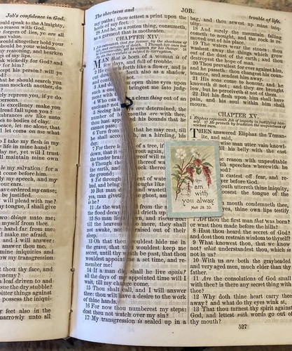 1875 HOLY BIBLE AMERICAN BIBLE SOCIETY NEW YORK OLD AND NEW TESTAMENTS - Picture 11 of 18