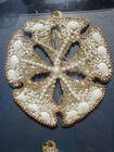 TOMMY BAHAMA FLY BY NIGHT SHELL CHRISTMAS ORNAMENTS SET OF 4 new in box — photo 4