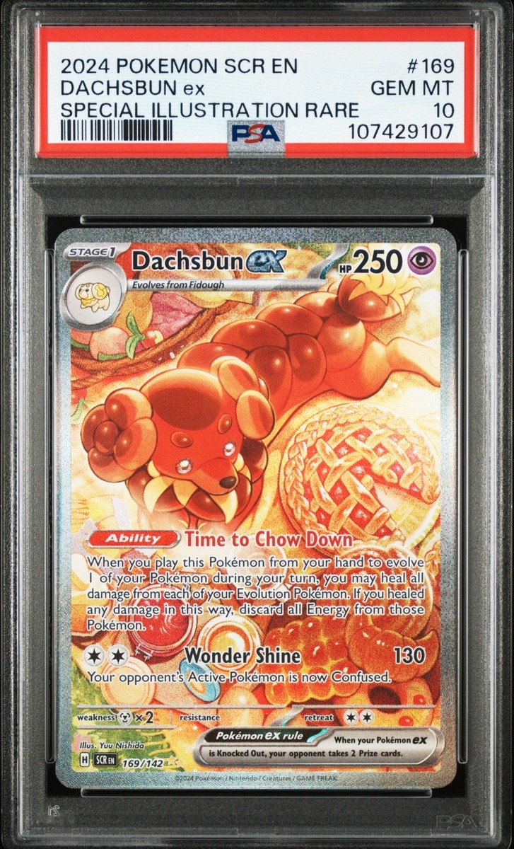 PSA 10] Dachsbun ex 169/142 SIR 2024 Pokémon SCR EN Stellar Crown