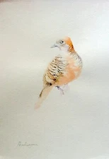 Partridge,  Birds, Watercolor artwork, Handmade, Original painting on paper