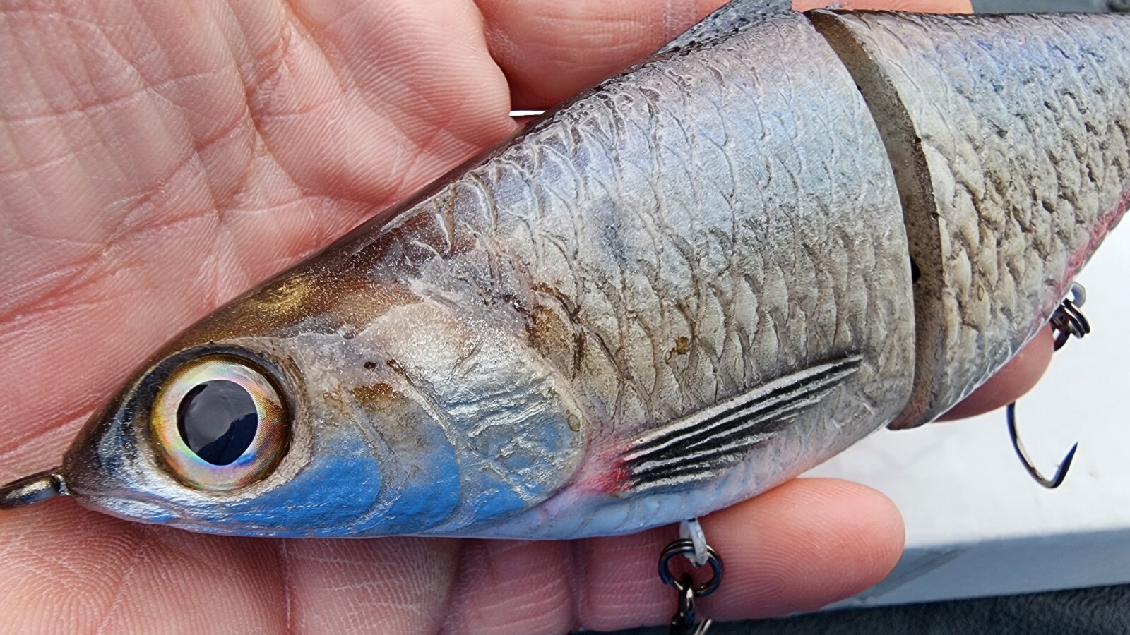 New Texas Swimbaits Gizzard Glide 8" 3.5oz Glide bait Chad Shad Clutch Pizz - Image 6