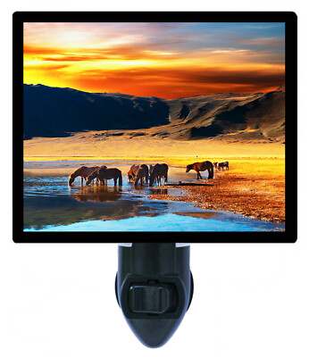 Sunset Decorative Photo Night Light, Drinking Horses, Landscape