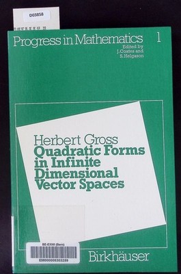 Quadratic forms in infinite dimensional vector spaces. Progress in mathematics /