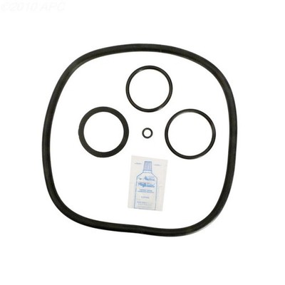 Pentair Pac-Fab Mitra-SS Cartridge Filter O-Ring Kit (APCK1120)