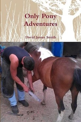 Only Pony Adventures by David James Smith (English) Paperback Book
