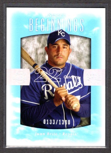 2002 Juan Brito #121