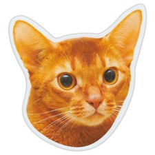 Magnetic Bumper Sticker - Abyssinian Cat Breed Magnet - Cars, Trucks, SUVs