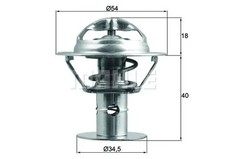 Thermostat Jaguar S-TYPE