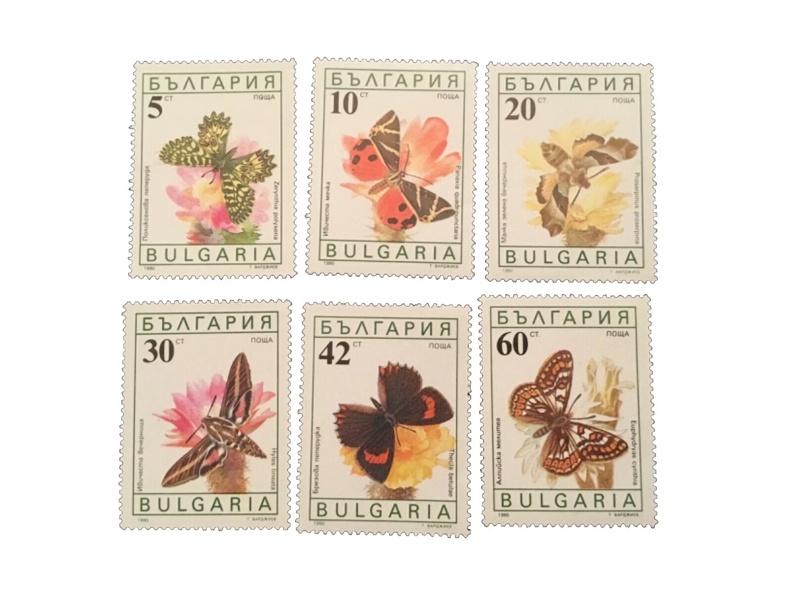 En excelente estado nunca abisagrado/estampillada sin montar o nunca montada Mariposas estampillas de Bulgaria