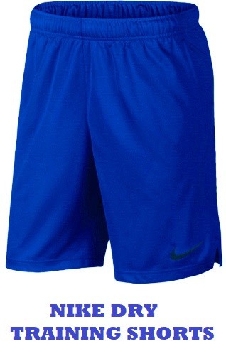 thin nike shorts