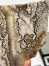 Mexican Laguna Crazy Lace Agate Slab Cabbing Collecting Combo Ship Avail