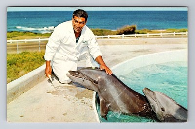 Oahu HI- Hawaii, Hawaiian Dolphin Talk, Antique, Vintage Souvenir Postcard