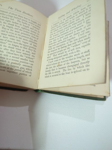Antique Book The Twin Brothers of Elfvedale London Charles Eden 1st Ed 1875 - Foto 16 di 18