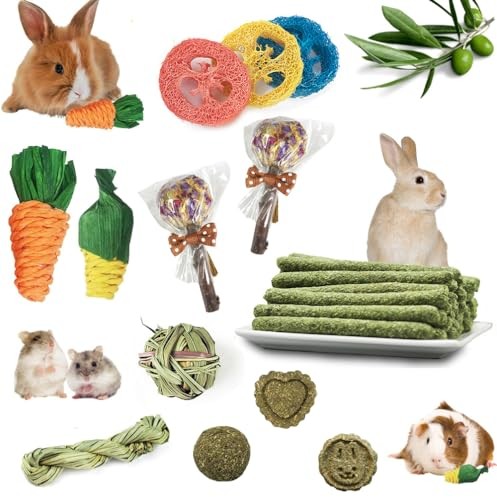 Jouet pour lapin à mâcher avec 17 bâtonnets de foin Timothy naturel pour rongeur