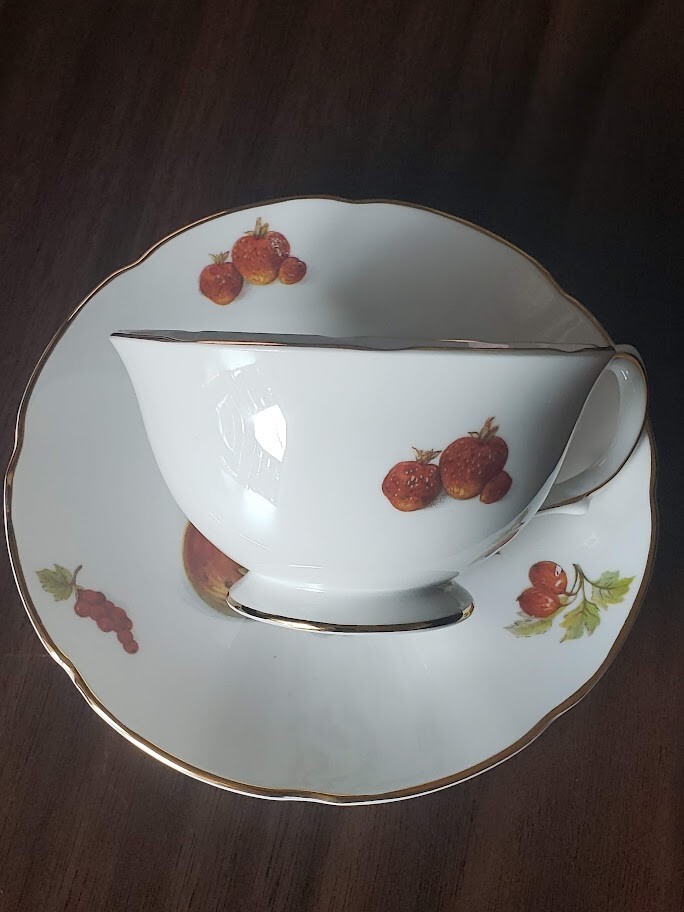 Vintage Tea Cup & Saucer Royal Grafton Fine Bone China Made In England