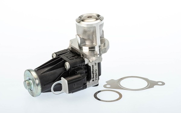 BorgWarner (Wahler) Agr-Ventil U.A. FüR Alfa Romeo, Fiat, Lancia, Opel-image