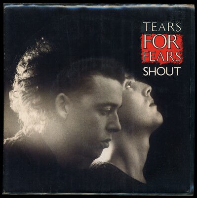 Vinyl-Single TEARS FOR FEARS SHOUT THE BIG CHAIR 7-Inch Mercury Picture Cover 