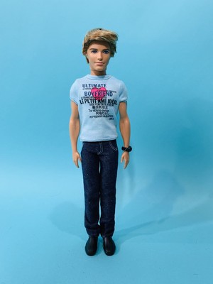sweet talking ken doll