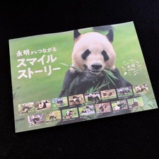 Giant Panda Eimei 30th Anniversary Photo Collection Smile Stories Connected Adv