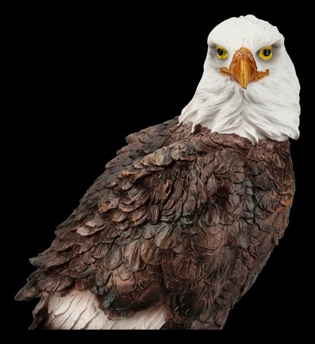 Weißkopfseeadler Figur auf Ast - Wildtier Vogel Adler Dekostatue - Bild 6 von 6