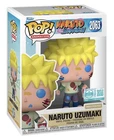 Funko Pop! Kid Naruto Uzumaki With Paint #2063 LE9500 Amazon Exclusive IN HAND!
