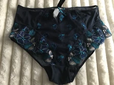 Panache EDEN BLUE Brief Deep High Rise Lace Full Coverage Womens Knickers UK 10