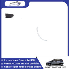 Pare-brise Smart FORFOUR