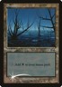 MTG English Swamp (1999) NM Foil Promos: Arena
