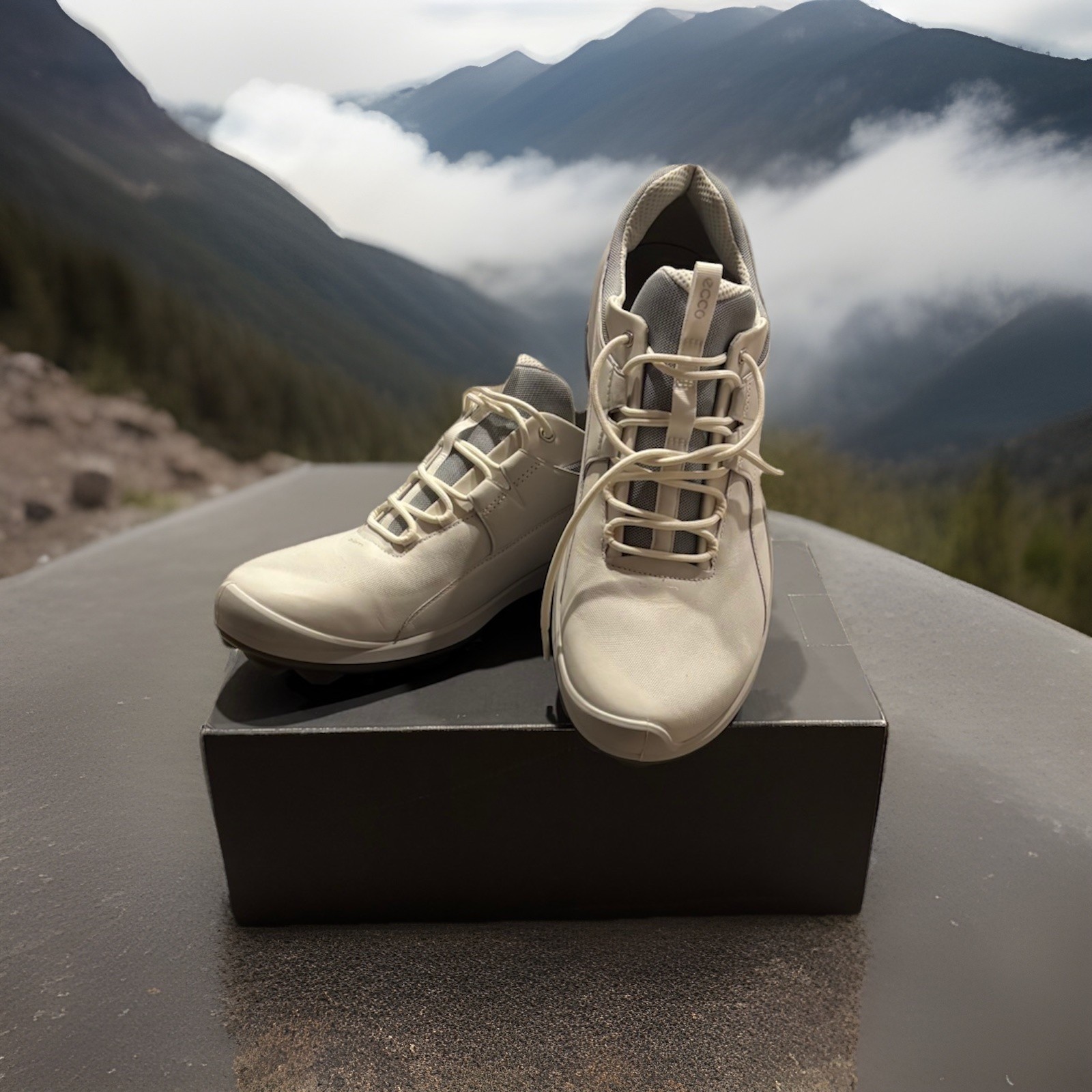 - White ($199.99)
