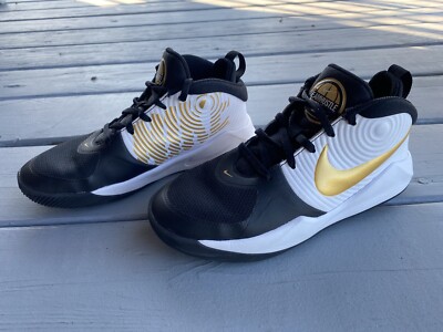 NIke Kids Team Hustle D9 Basketball Shoe Big Kid