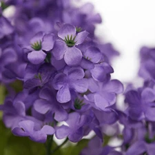 20-1/2" Artificial Purple Lilac Decorative Floal Bush