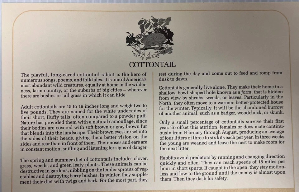 American Wildlife Mail Cover FDC & Info Sheet Cottontail Rabbit 1987 - Image 2 of 3