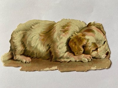 Vintage Wafer Gloss Circa 1900 Raphael Tuck Chromos Victorian Scraps Dog 10.5cm