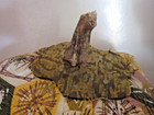 Fall Pumpkin Vtg Material Handsewn Brown Green Yellow 1950 Drapery Real Stem — photo 2