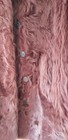 Bild 7 von 8