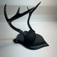 Authentic Deer Antler Wall Mount Hand Painted Black