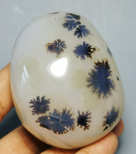 Natural polished Amazing Moss Agate Sphere Palm Stone Reiki Healing - Picture 3 of 12