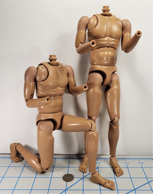 action figure bodies