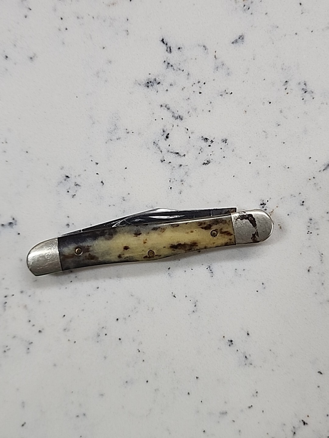 Vintage Case XX A6208 Half Whittler Appaloosa Bone Pocket Knife eBay