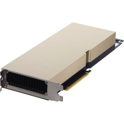 Dell NVIDIA A100 80GB 300W FHFL DW FH PCIe GPU v2 (575TK)