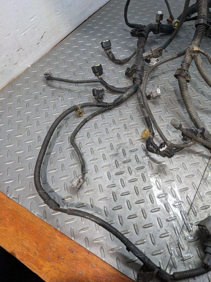 4 RUNNER 2003 4.0L Engine Wire Harness 1147089 - Image 4 of 4