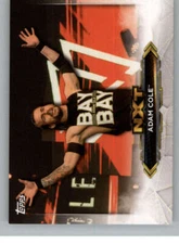 2020 Topps WWE NXT Wrestling Insert Singles (Pick Your Cards)