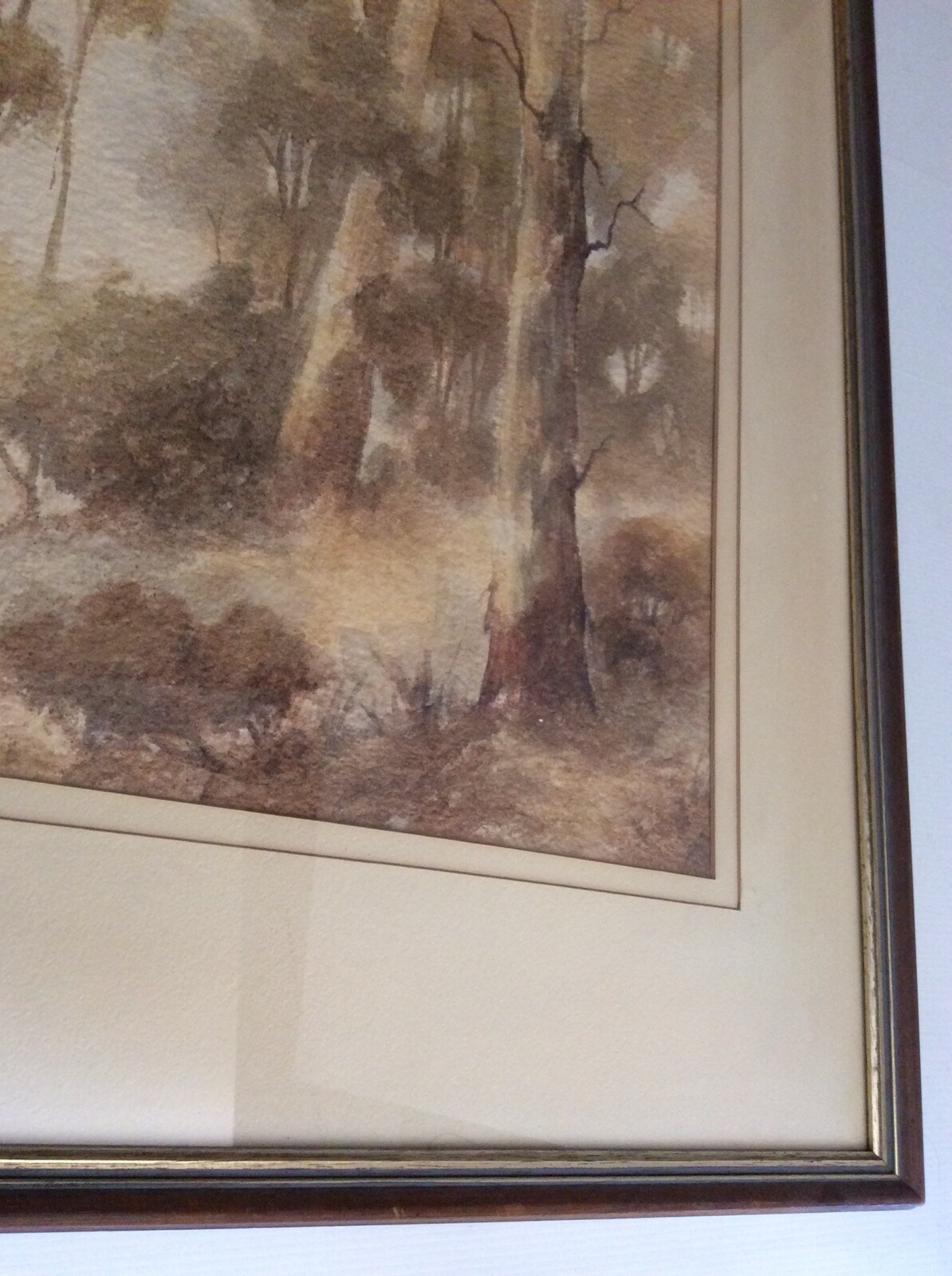 Picture 7 of 9