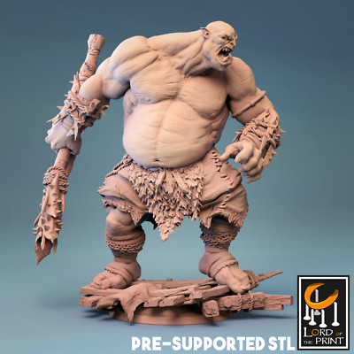 Ogre Miniature D&D DnD Pathfinder RPG