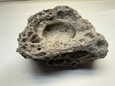 Natural Stone Unique Aquascaping LACE Rock Bonsai Stone Planter Succulents