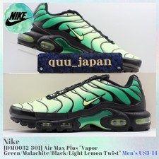 Size 10.5 - Nike Air Max Plus Vapor Green Gradient for sale online